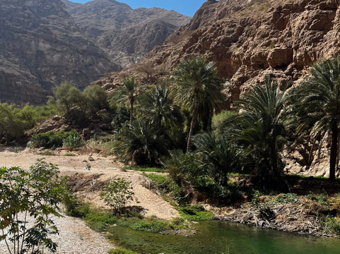 Arabian Desert Shadow-马斯喀特必去景点