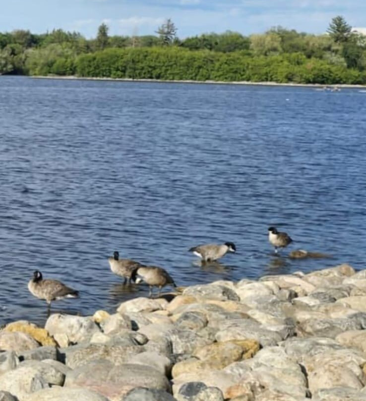 Wascana Centre Park-里贾纳必去景点