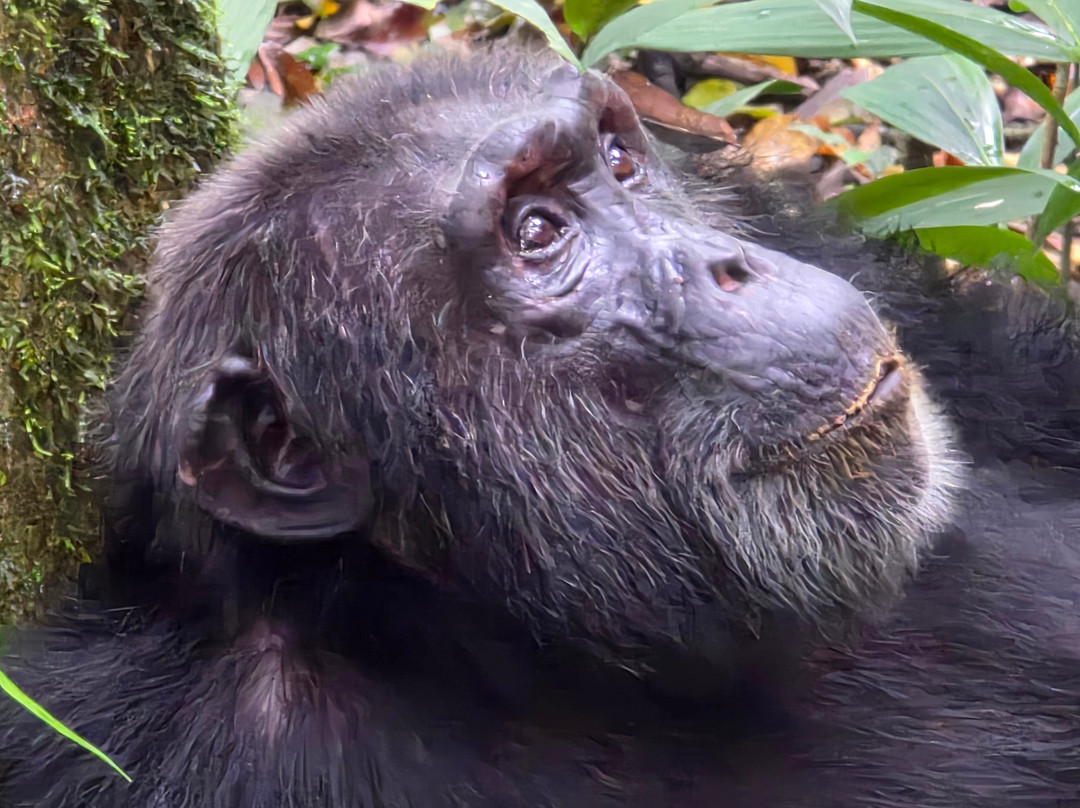 PearlAfric Tours & Travel-坎帕拉必去景点