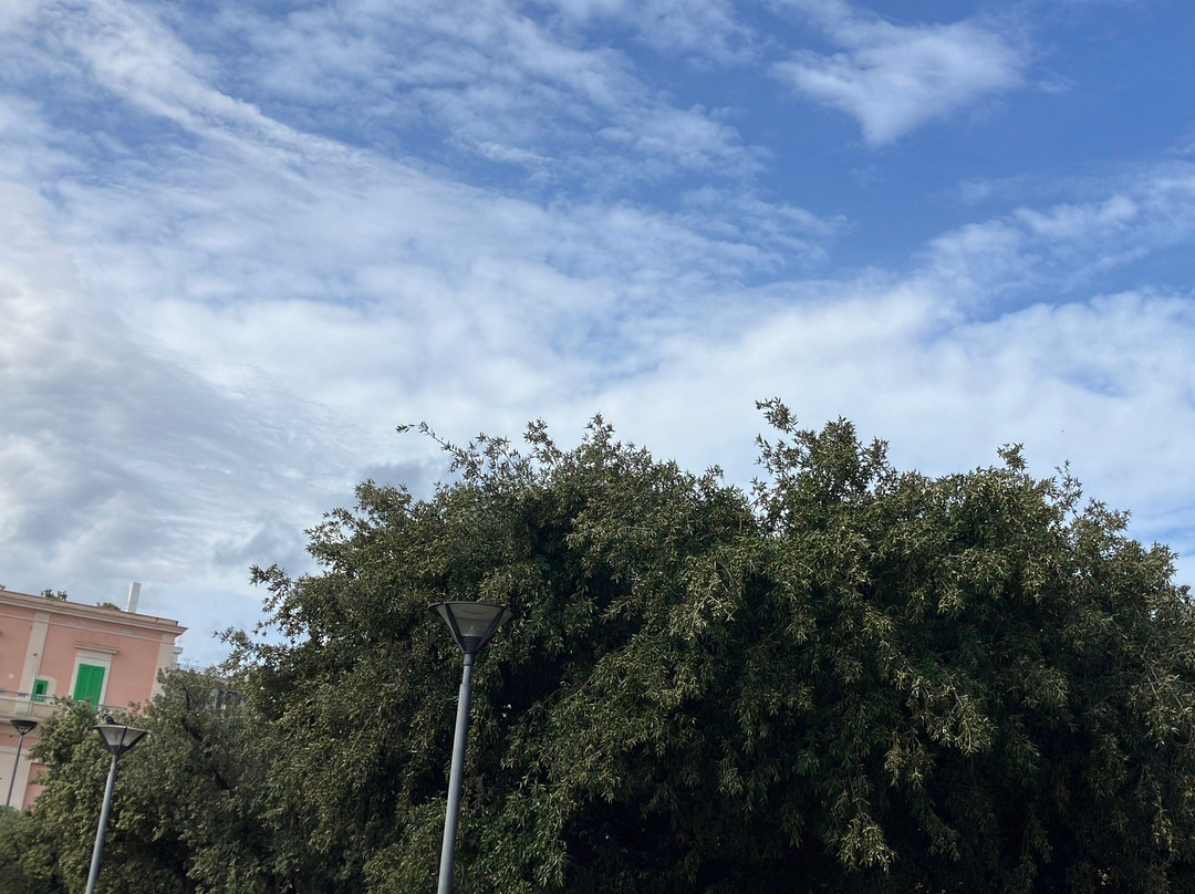 Piazza Vittorio Emanuele II-莫诺波利必去景点