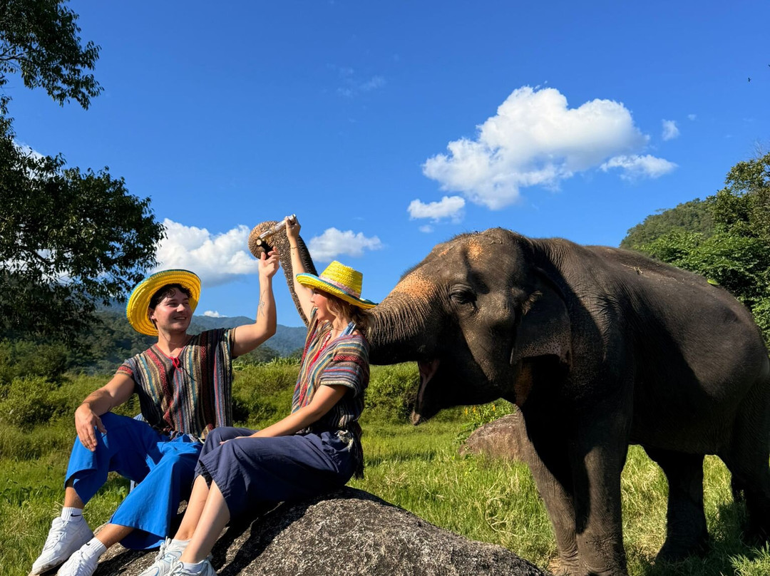Doi Lom Elephant Rescue Sanctuary-夜登必去景点
