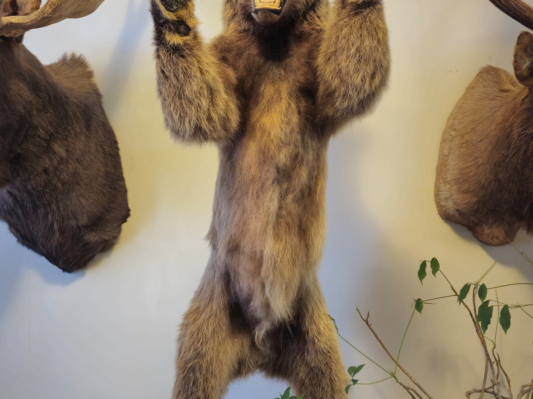 Amory Regional Museum-Amory必去景点