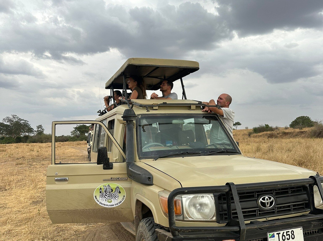 Obama Africa Safari-阿鲁沙必去景点