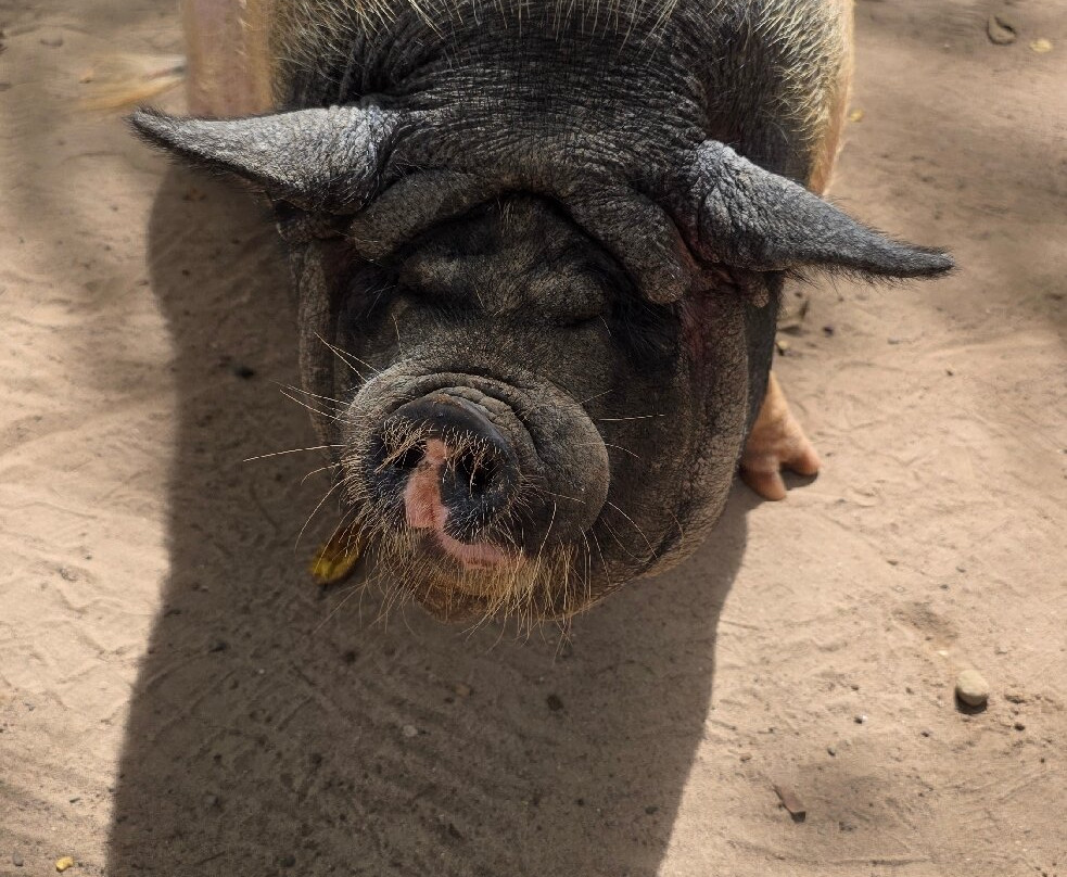 Transmila Transfers & Tours-塔马林多必去景点