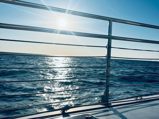 Sail Wild Hearts-橙色海湾必去景点