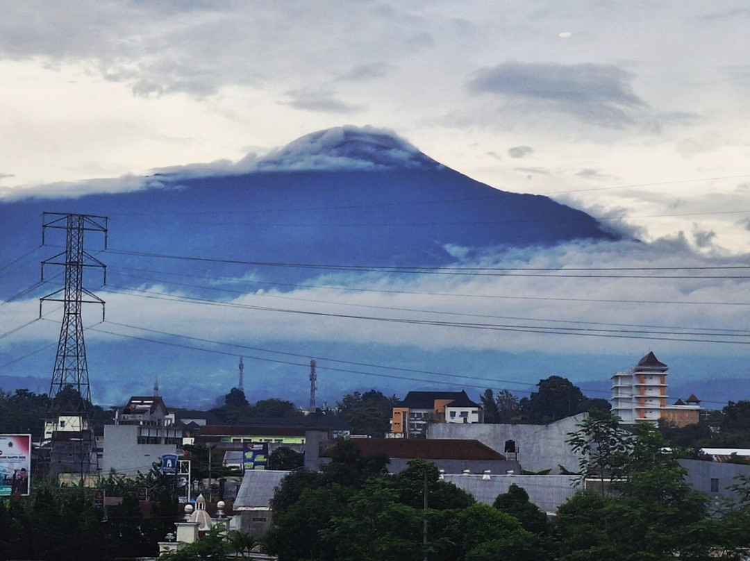 Meotel Purwokerto主图