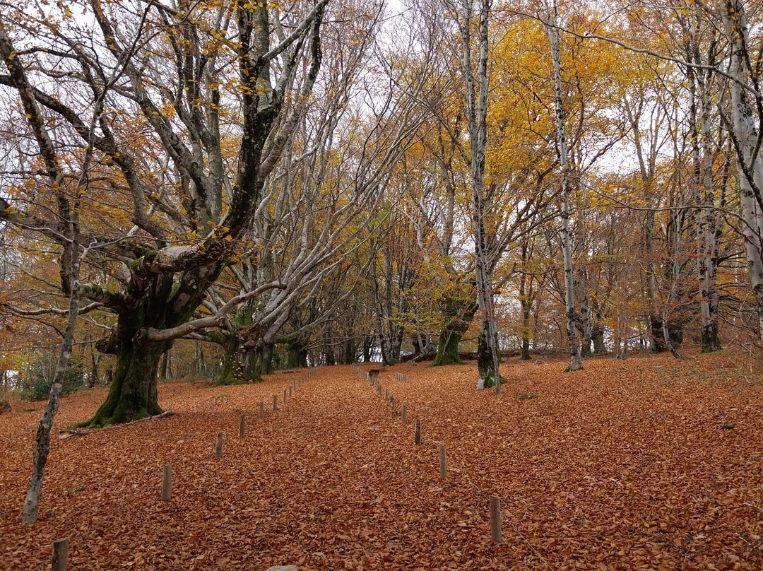 Mont Gargan-Saint-Gilles-les-Forets必去景点