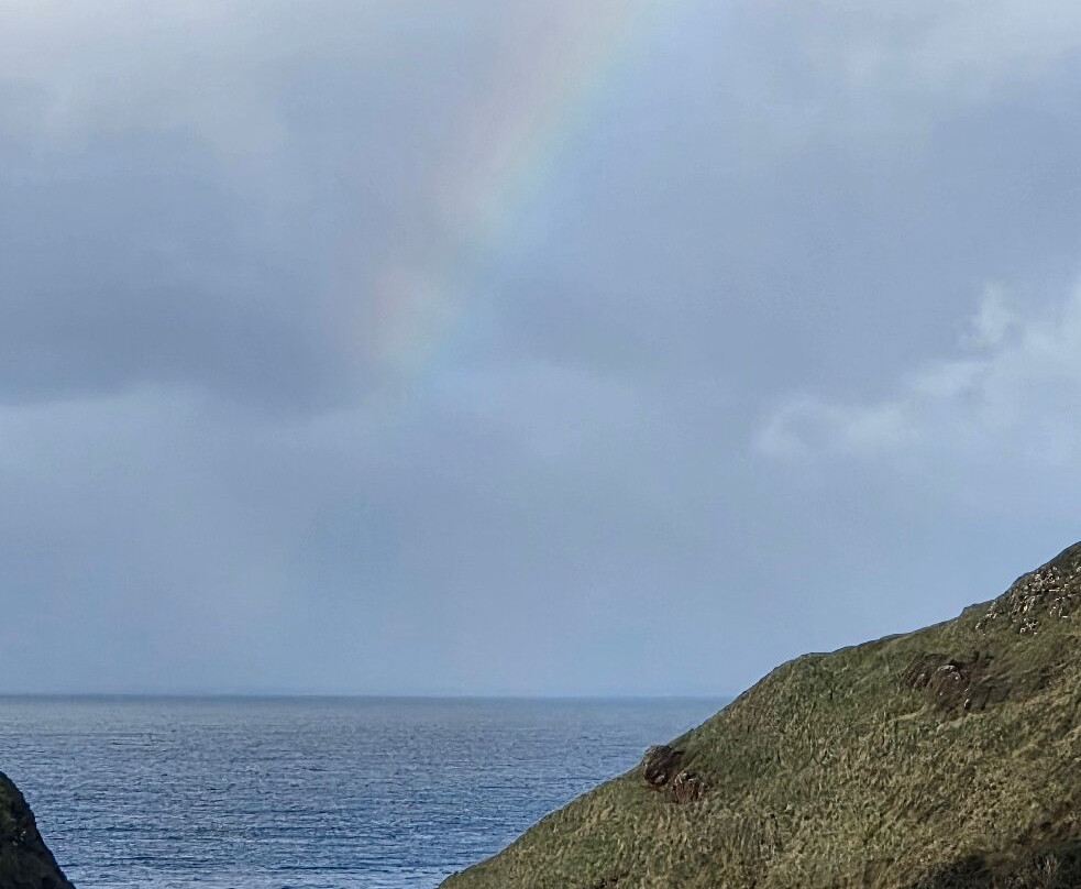 Giant's Causeway Visitor Centre-布什米尔斯必去景点