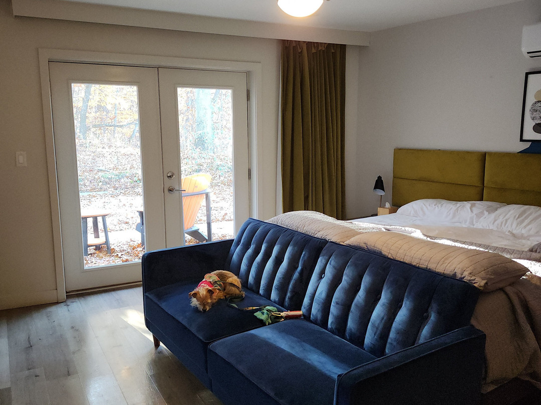 4411 Inn & Suites主图