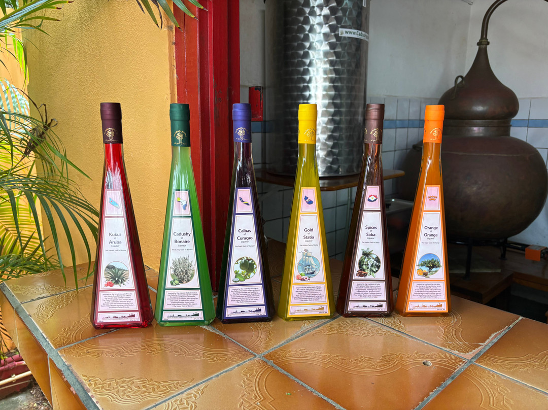 The Cadushy Distillery-Rincon必去景点