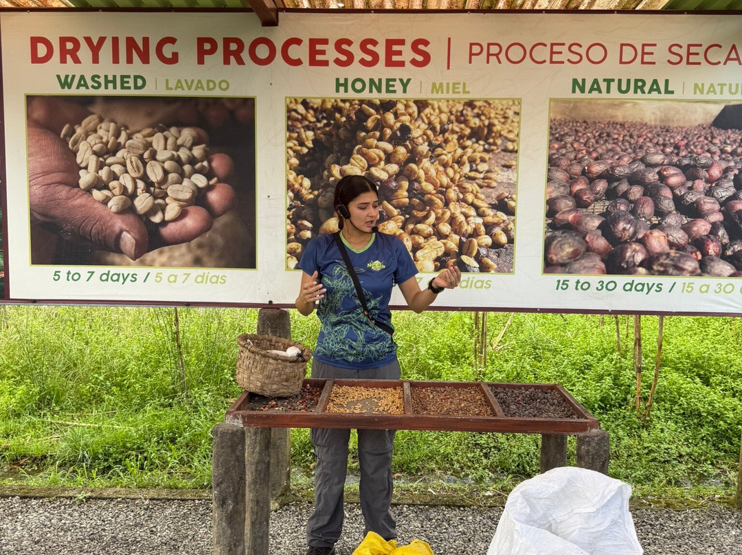 Serendipity Adventures-图里亚尔瓦必去景点