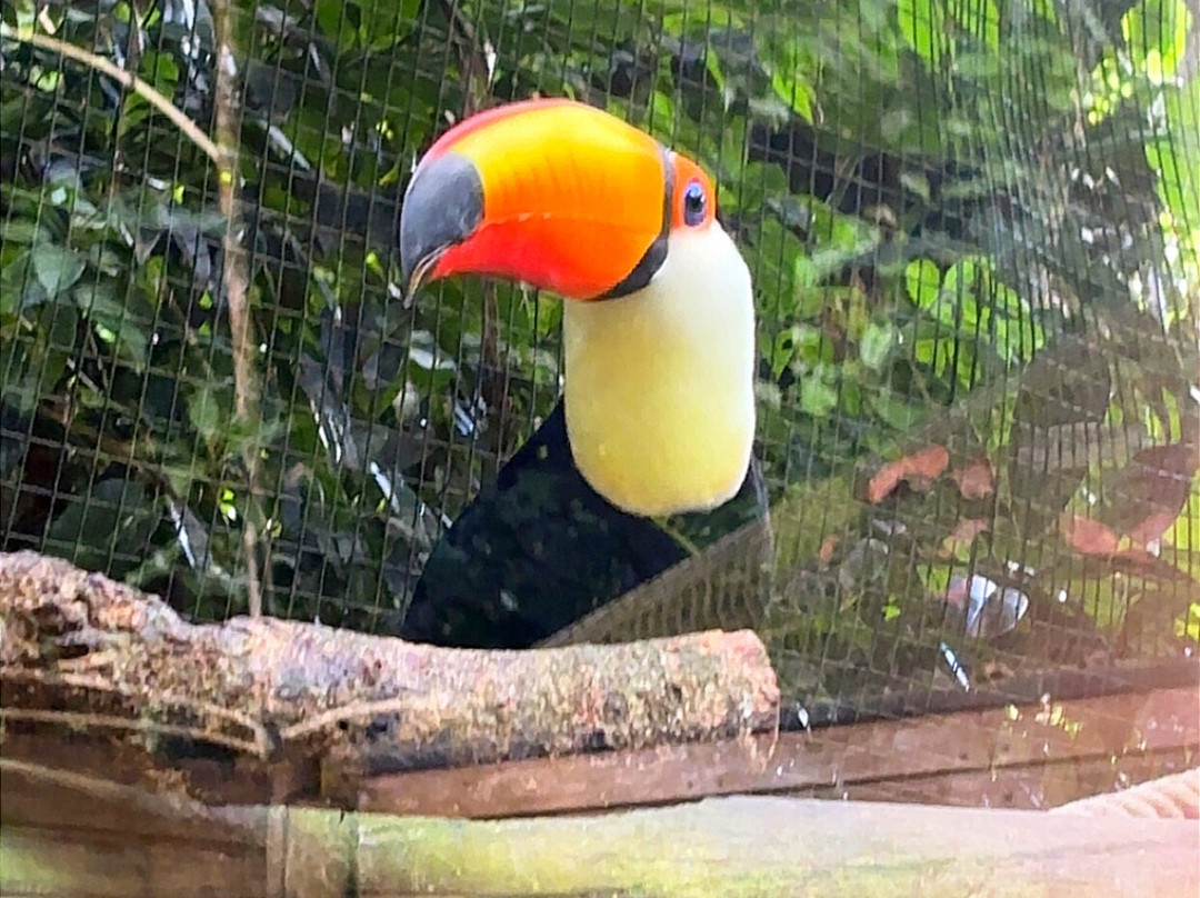 Zoo De Guadeloupe Au Parc Des Mamelles-Bouillante必去景点