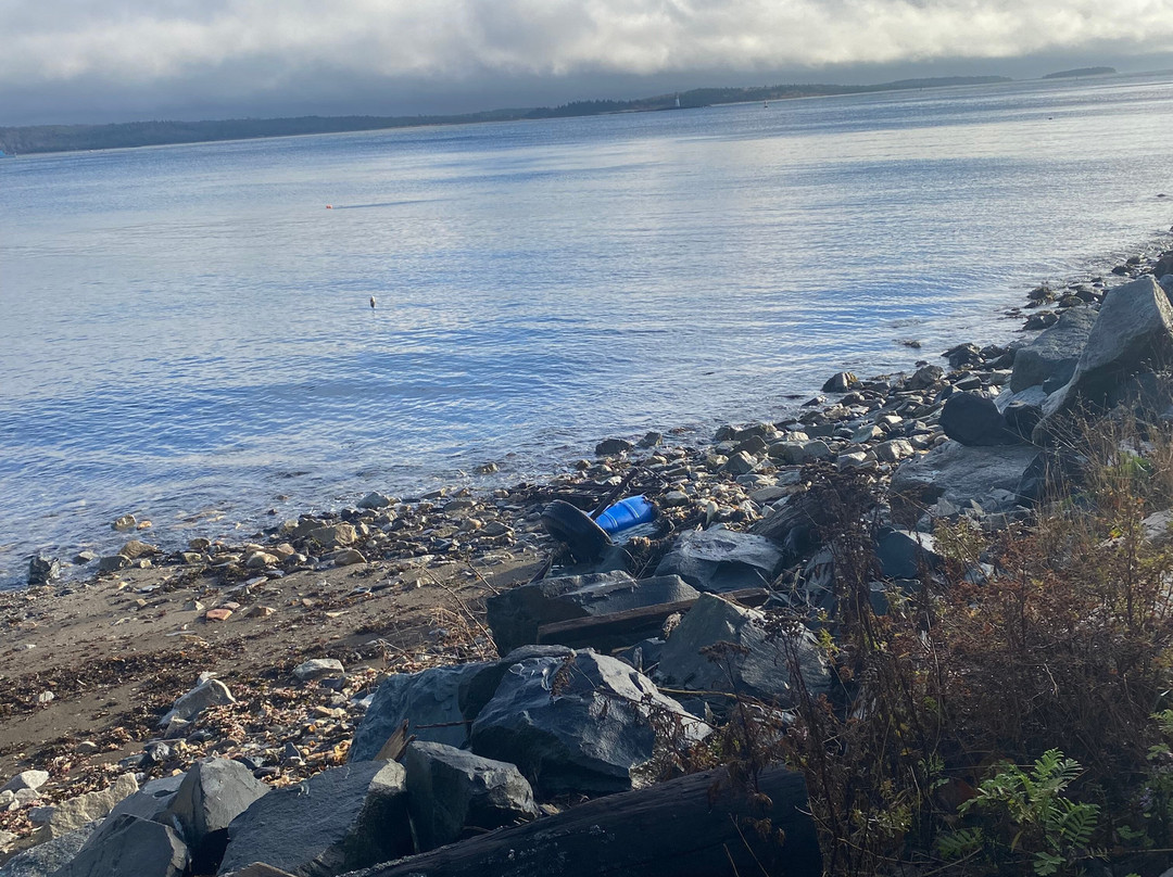 望海住宿加早餐旅馆主图