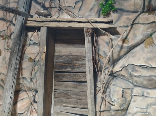 Locked Escape Room-卡诺阿斯必去景点