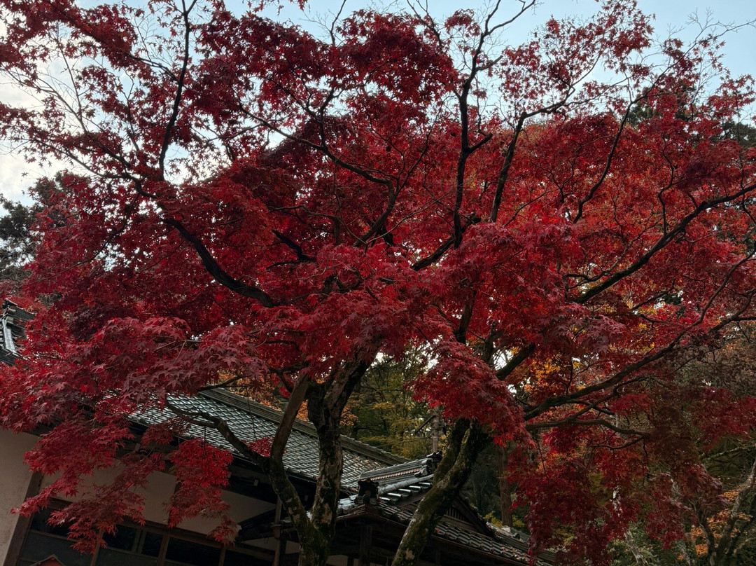 Hiyoshi Taisha-大津市必去景点