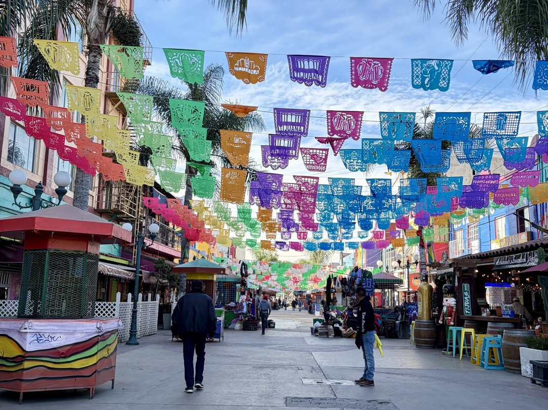 Plaza Santa Cecilia-蒂华纳必去景点