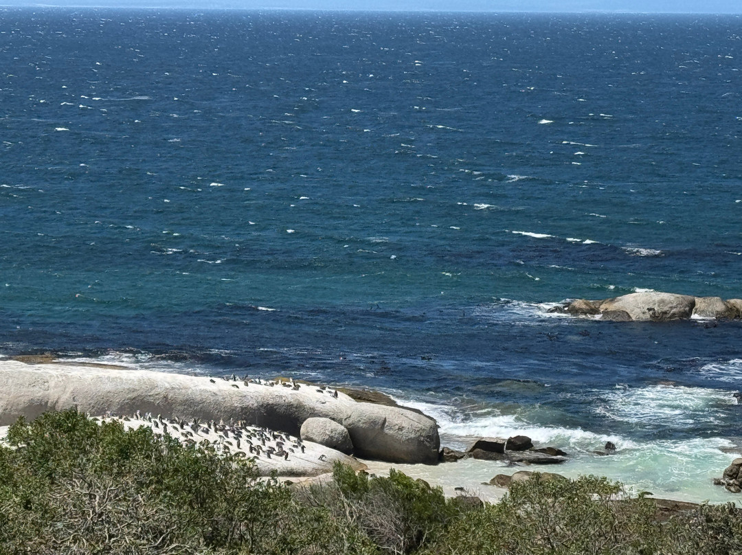 Tintswalo Boulders主图