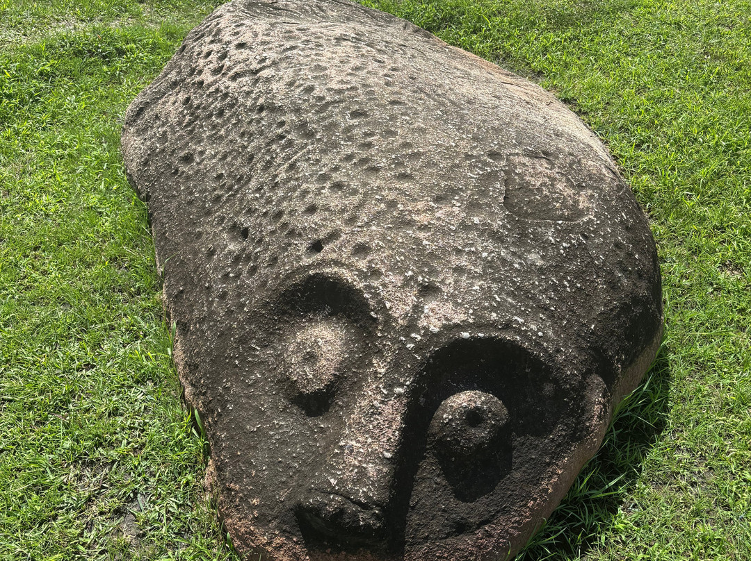 Tentena wildlife tour and Lorelindu national park-Tentena必去景点