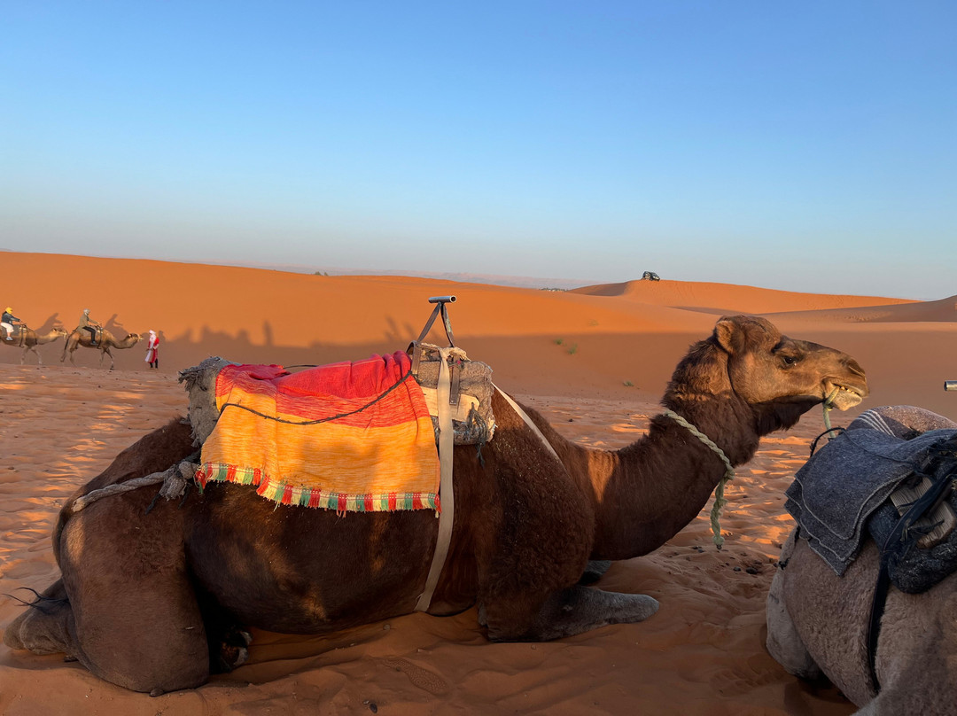 Fes Excursion Day Tours-非斯必去景点