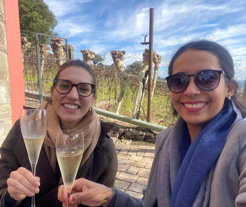 Vinicola Mena Kaho-本图贡萨尔维斯必去景点