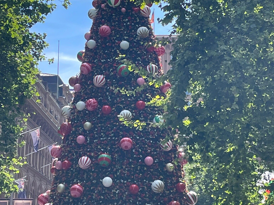 马丁广场-悉尼必去景点