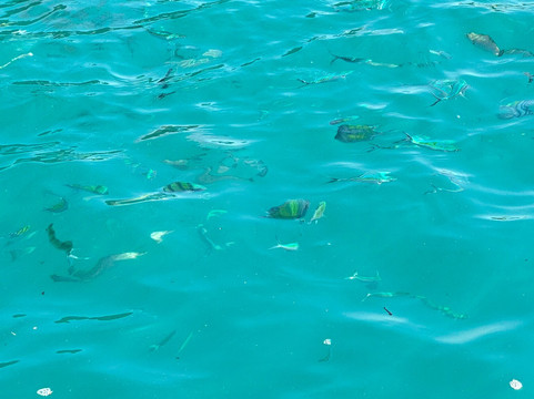 GR Rungtawan Co., Ltd.-奥南必去景点