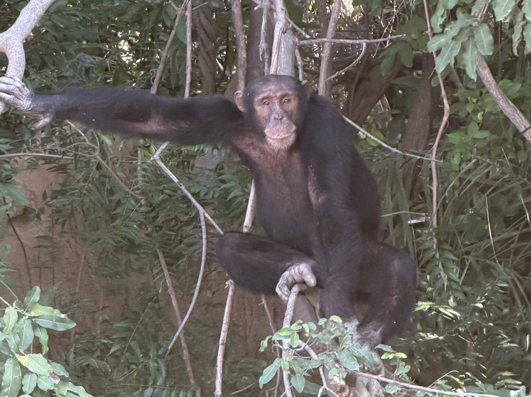 Simon Tours-Kotu必去景点