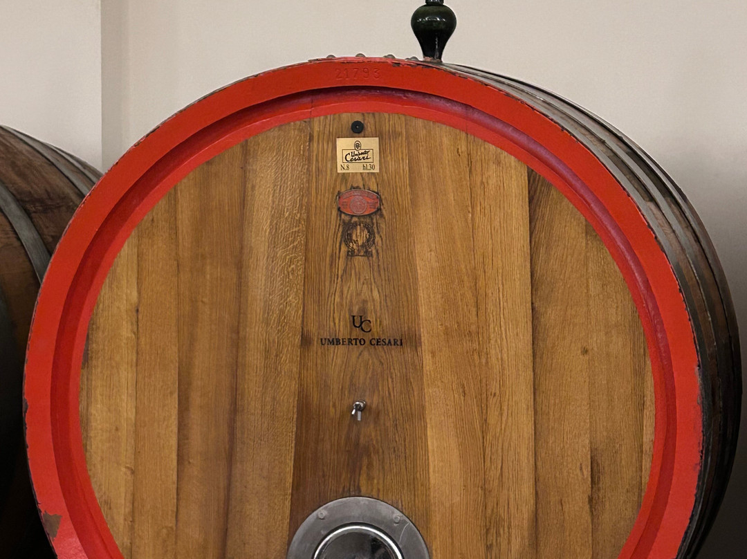 Umberto Cesari-圣彼得罗泰尔梅堡必去景点