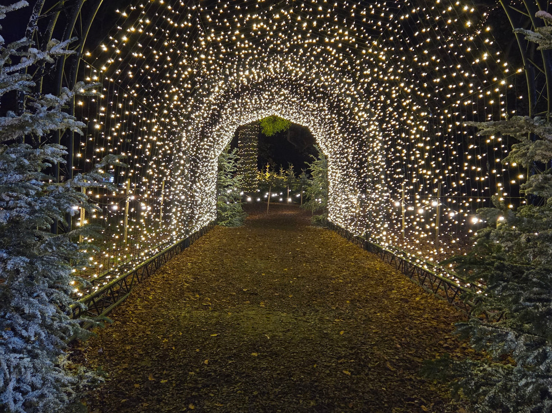 Audley End Miniature Railway-Saffron Walden必去景点
