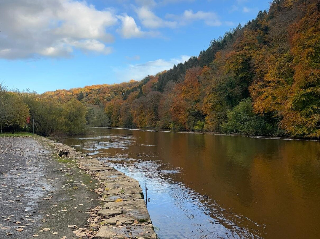 Kilkenny Eco Tours-Thomastown必去景点