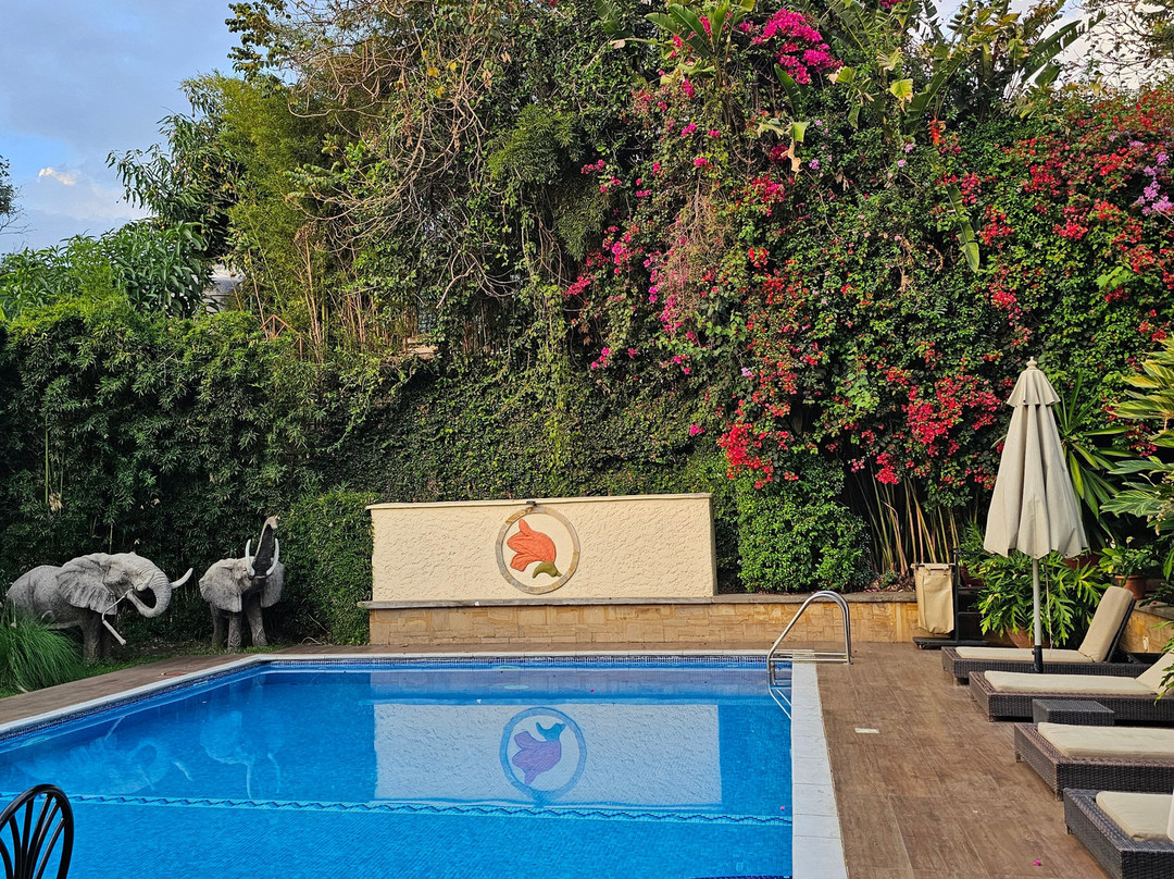 非洲郁金香宾馆主图