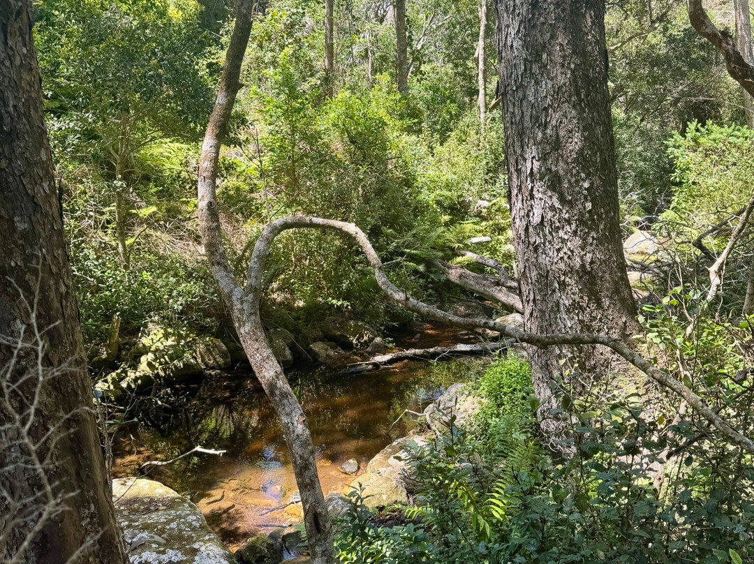 Kranshoek Hiking Trail-哈克城必去景点
