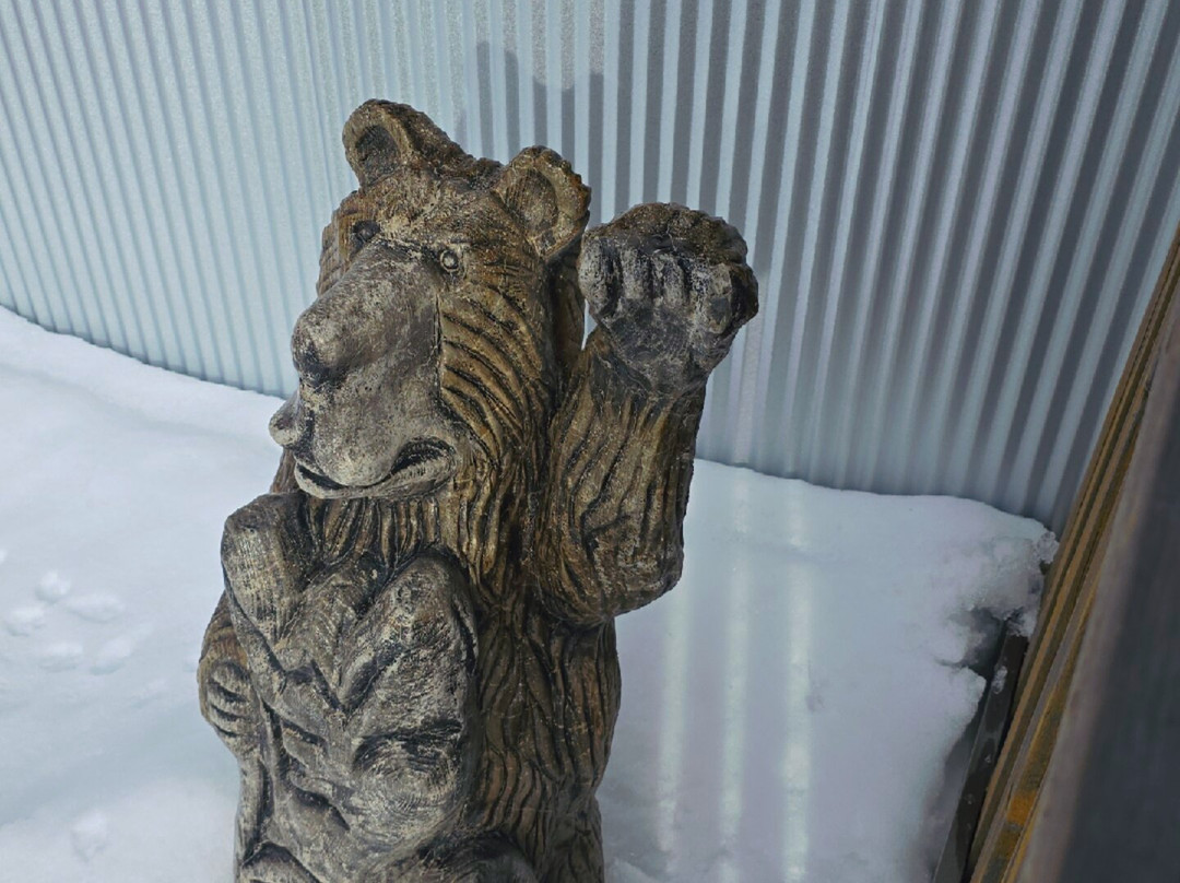 Montana Grizzly Encounter-博兹曼必去景点