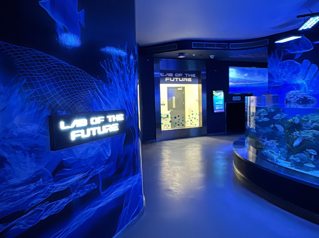 Marassi Aquarium & Underwater Zoo-Diyar Al Muharraq必去景点