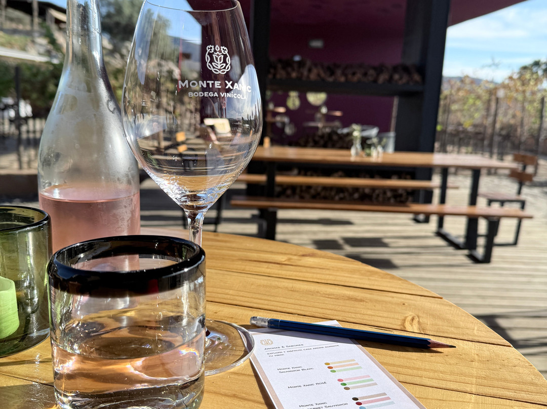 Monte Xanic Bodega Vinícola-Valle de Guadalupe必去景点
