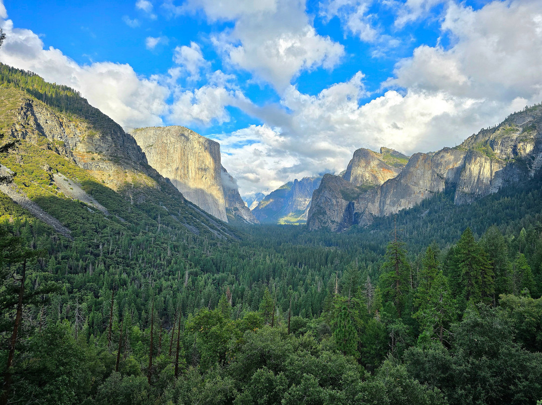 Yosemite National Park