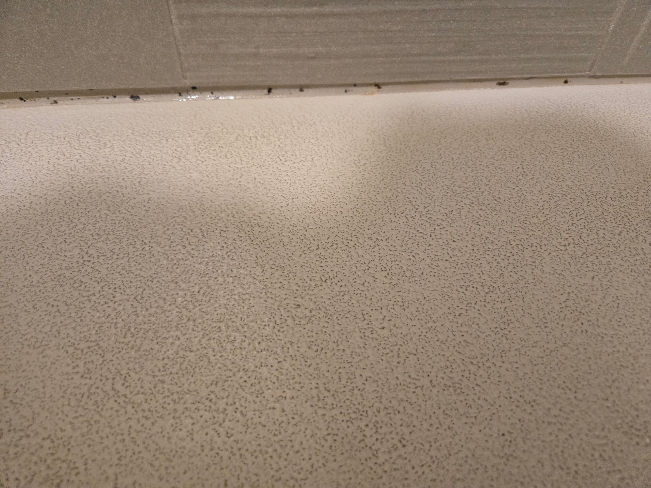 Hyatt House Rochester / Mayo Clinic Area-官方