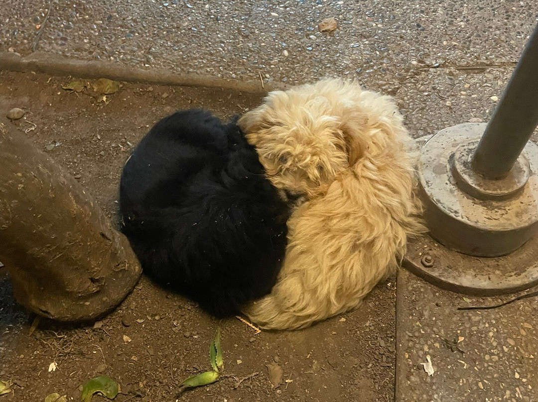 Chez Larbi Ourika主图