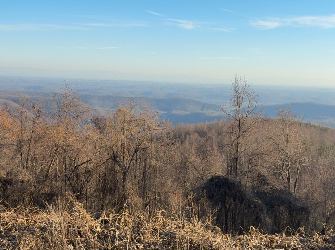 Windrock Park-Oliver Springs必去景点