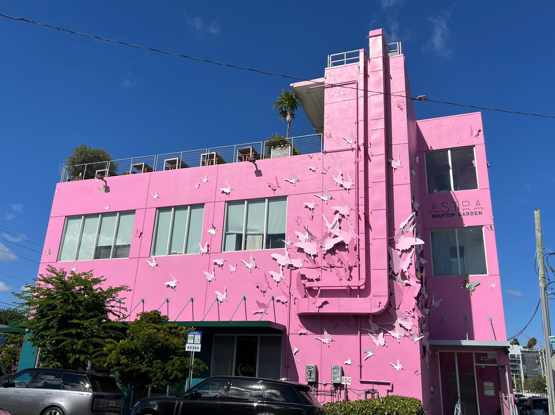 温伍德墙-迈阿密必去景点