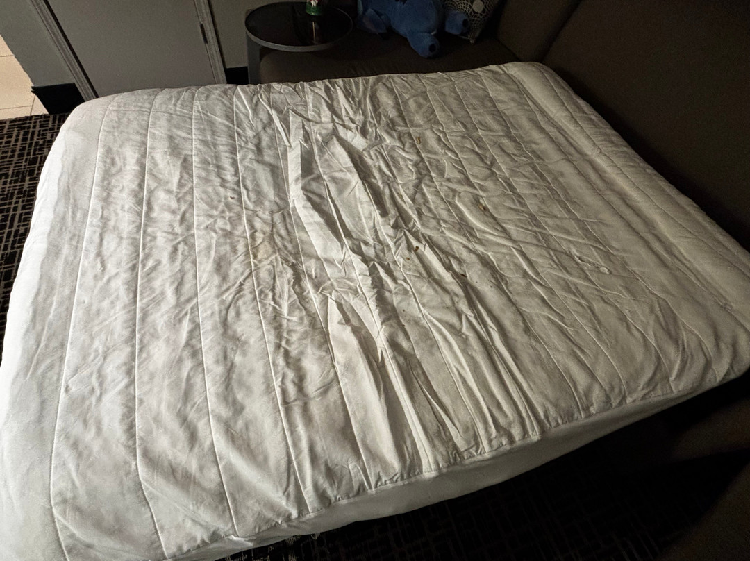 霍普金斯维尔费尔菲尔德旅馆&套房酒店主图