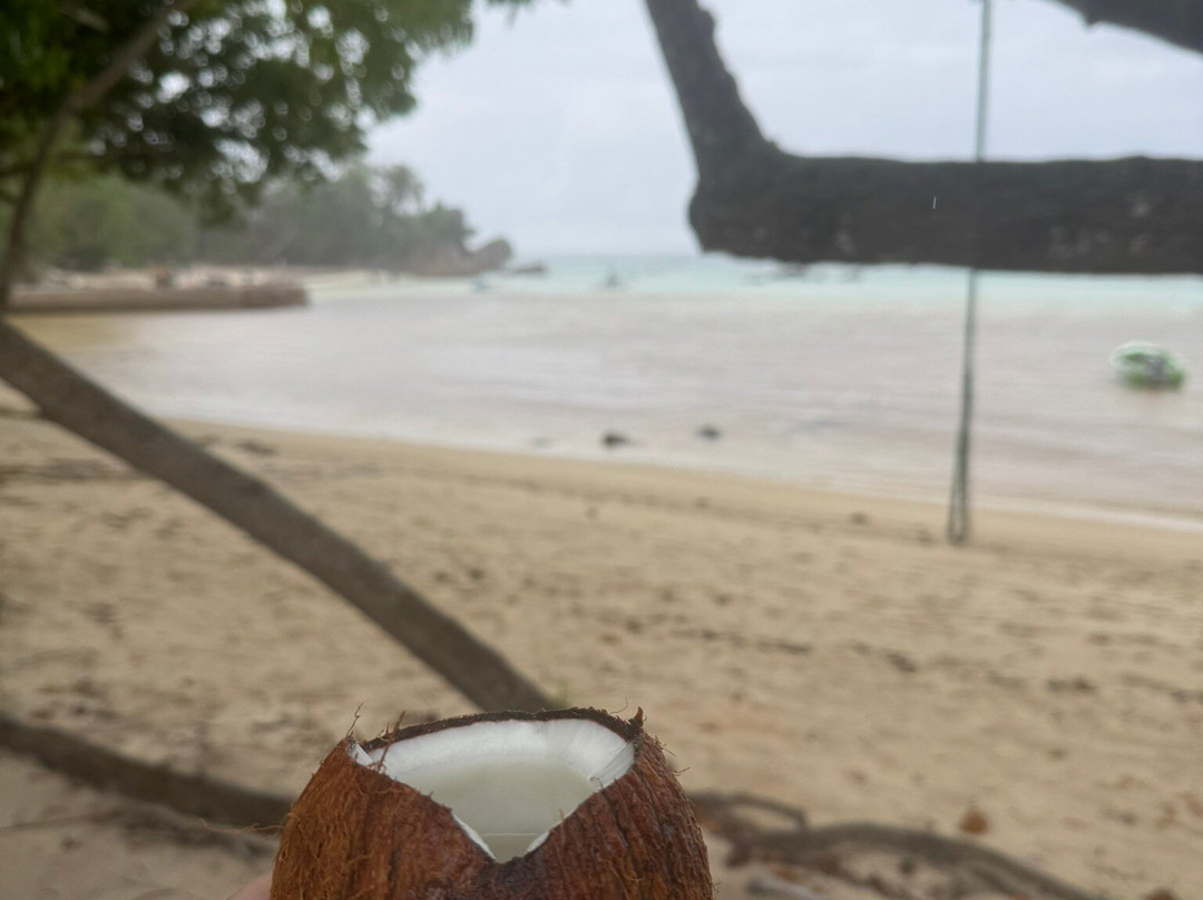 Sunny Trail Guide-拉迪格岛必去景点