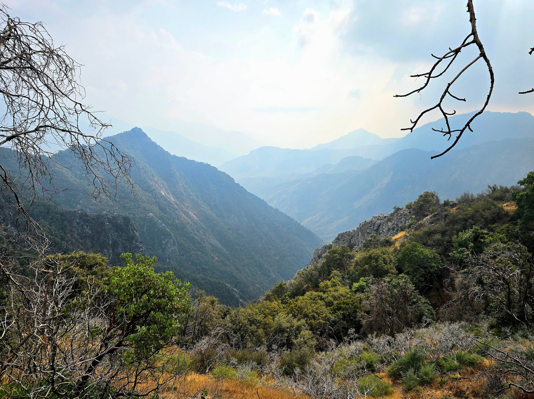 Generals Highway-红杉&国王峡谷国家公园必去景点