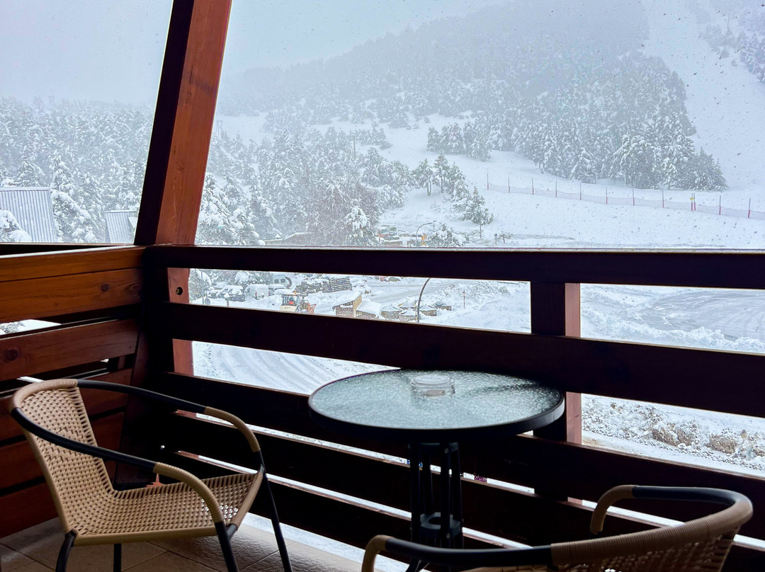 Auberge Alpina主图