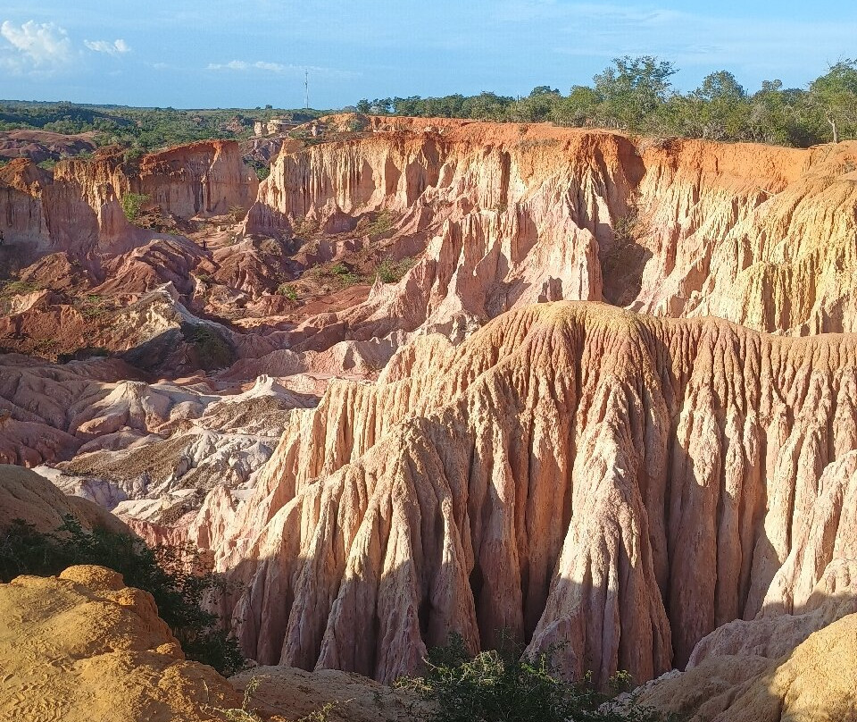 Escursioni in Kenya-瓦塔木必去景点