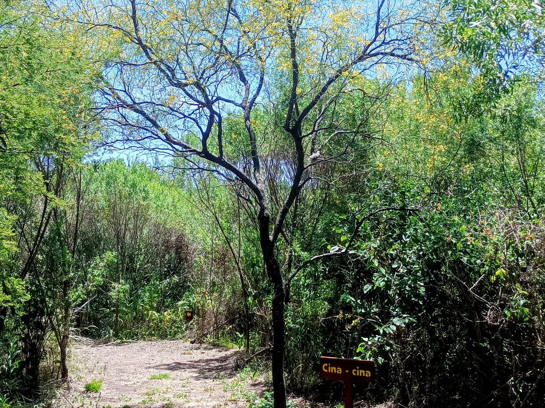 Parque Los Robles-Moreno必去景点