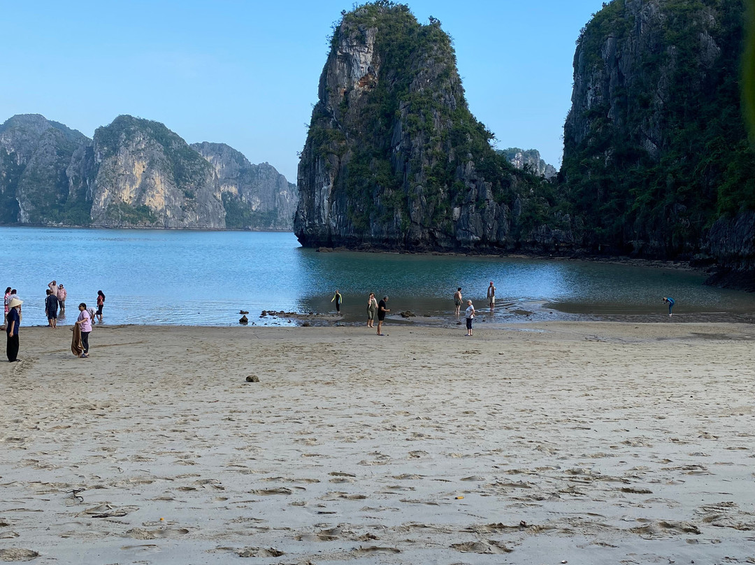 Bhaya Cruises-下龙湾必去景点