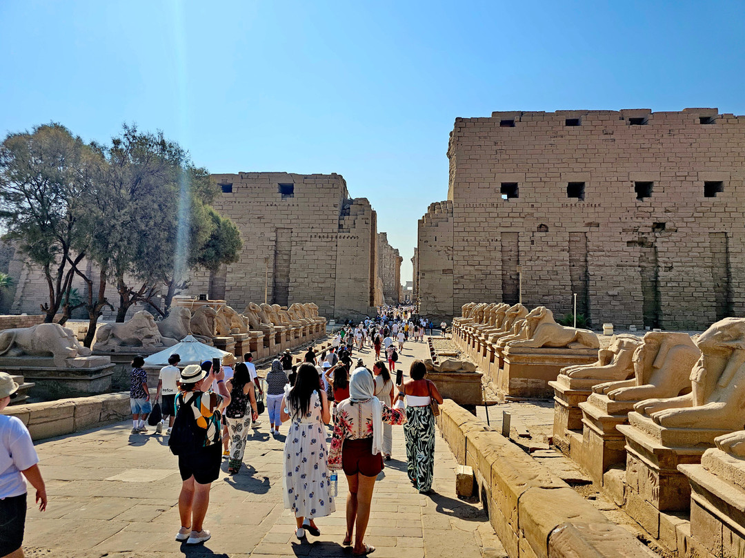 Avenue of Sphinxes-卢克索必去景点