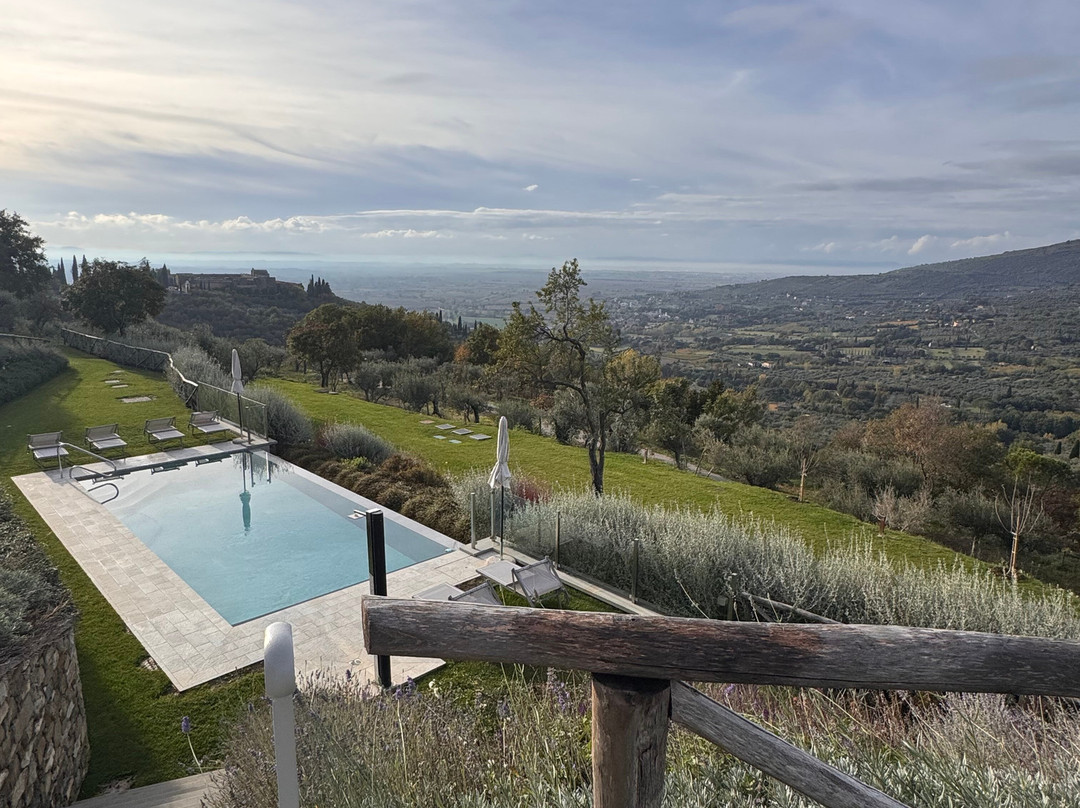 Hill Town Tours-科尔托纳必去景点