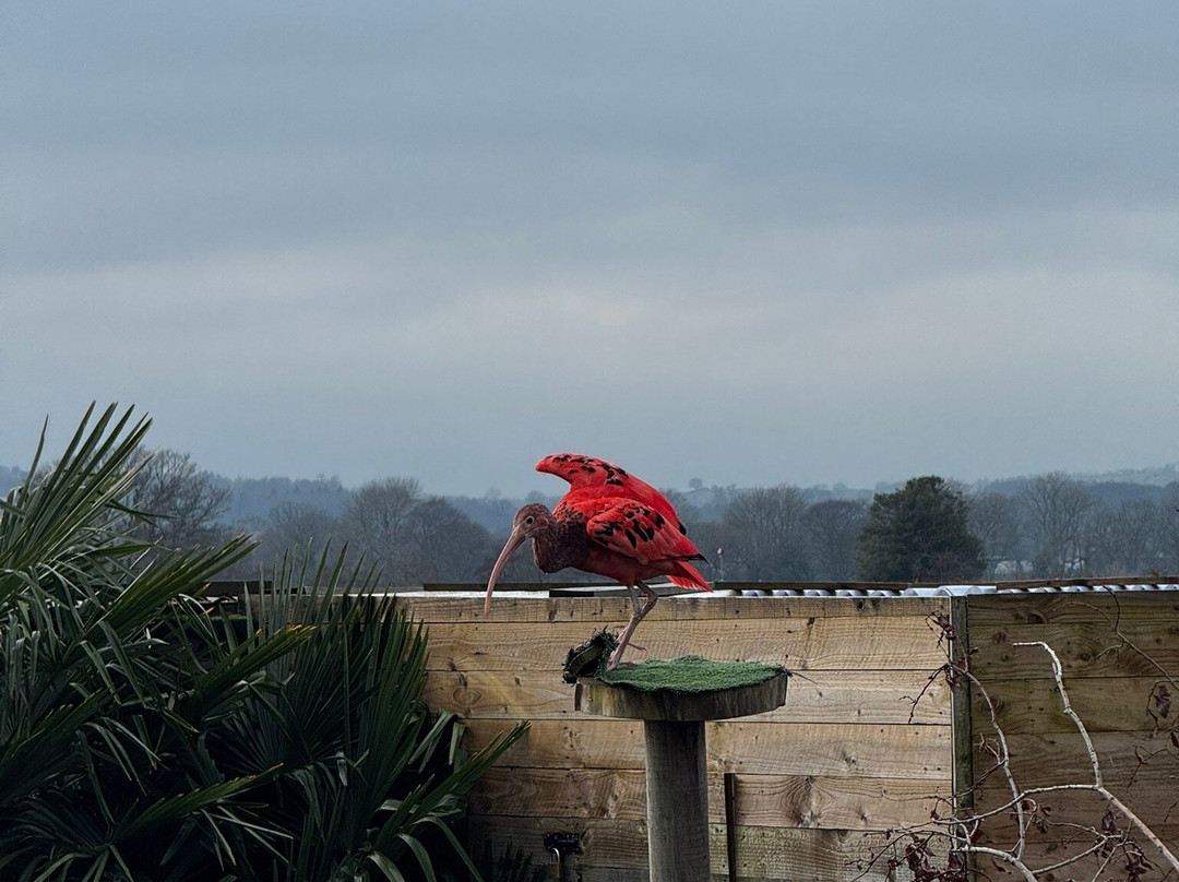 Wild Zoological Park-Bobbington必去景点